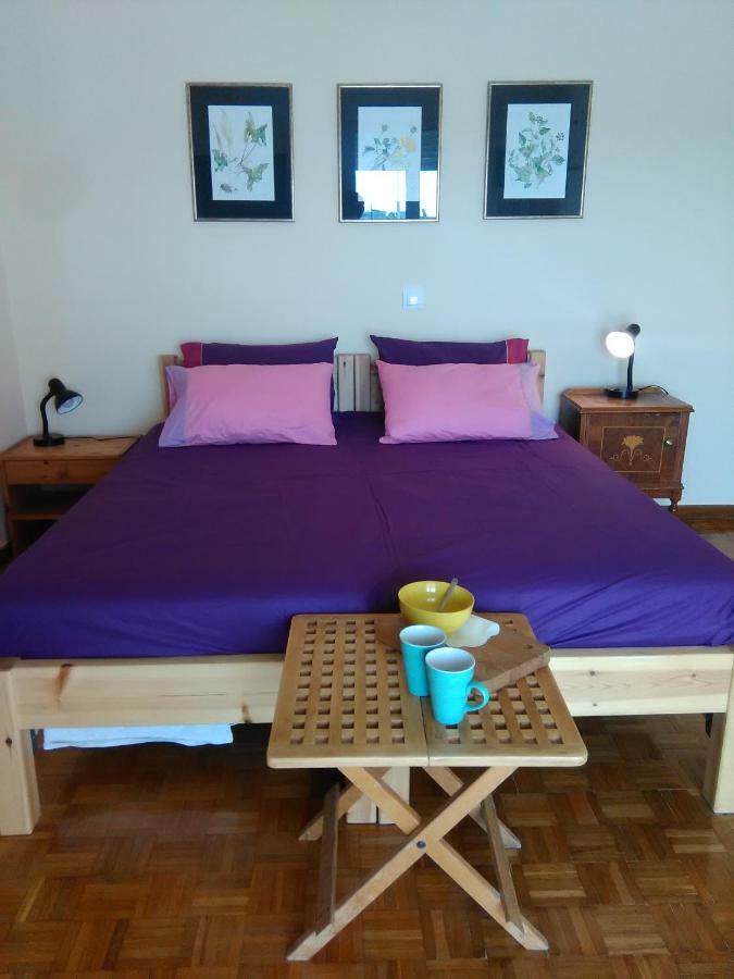 Apartament Mia'S Atelier, Balcony To Acropolis Ateny Zewnętrze zdjęcie